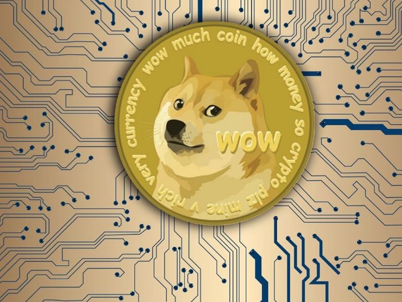 Breaking: Neuer Multichain-Coin aus dem Dogecoin-Universum startet – Dogeverse