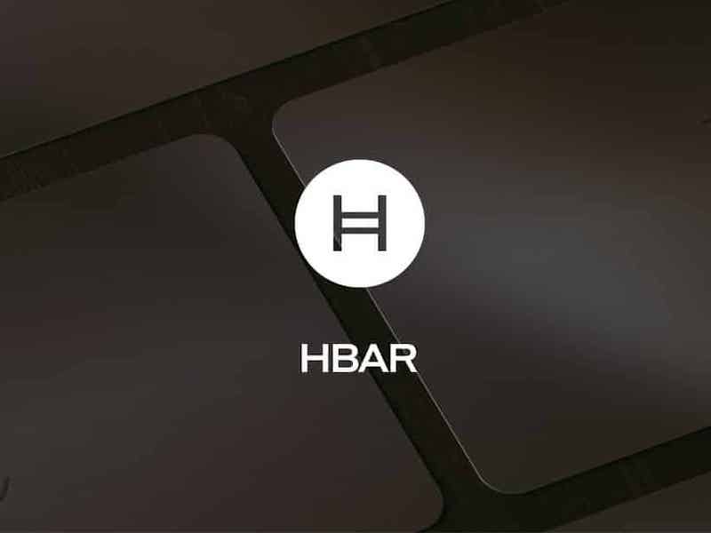 Hedera (HBAR): CEO Eric Piscini im Interview
