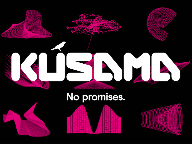 Kusamas Reaktion nach SHIB Preis Explosion – ist seine 100 Mrd. Vision realistisch?