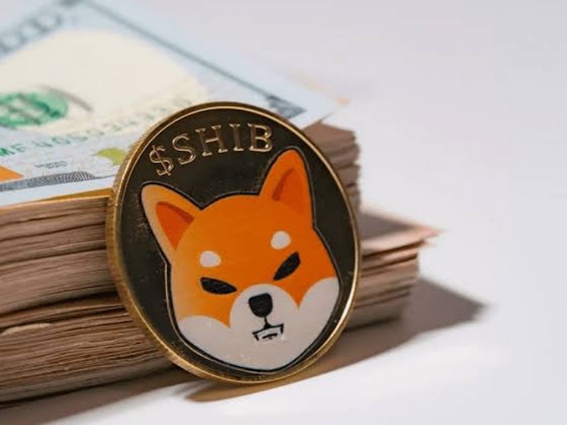 Krypto News: Dogeverse Presale Überschreitet 10 Mio. USD! Jetzt kaufen?